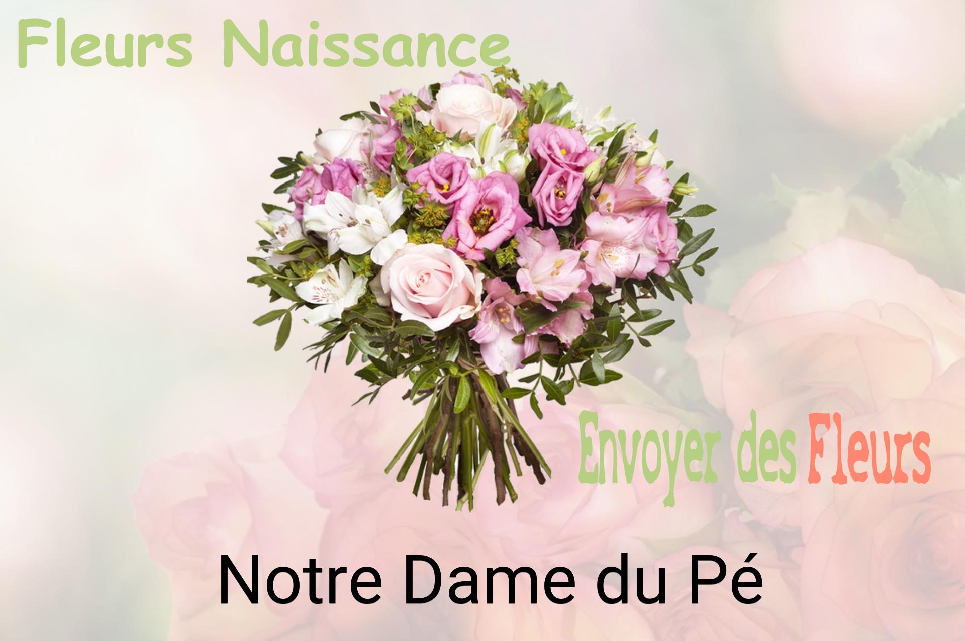 Bouquet de fleurs de naissance livré à Notre-Dame-du-Pé